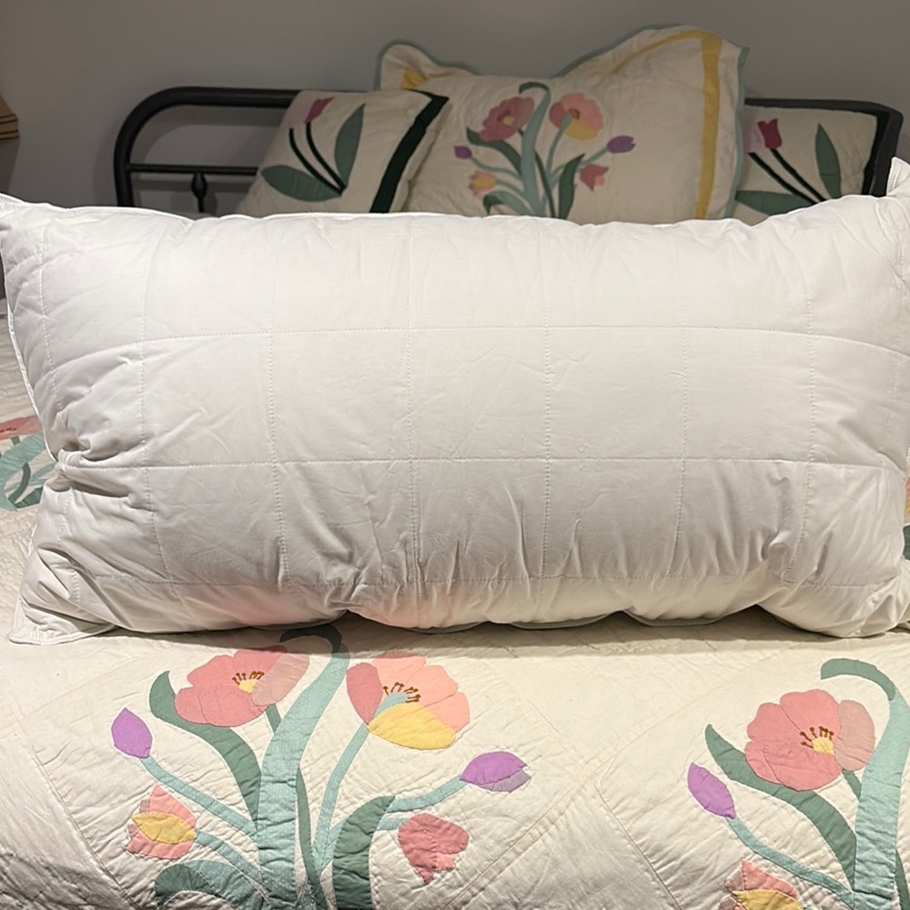 Smart Silk KING Asthma & Allergy friendly Silk cotton Pillow #103